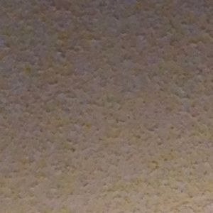 Meet your Posher, Bernardo